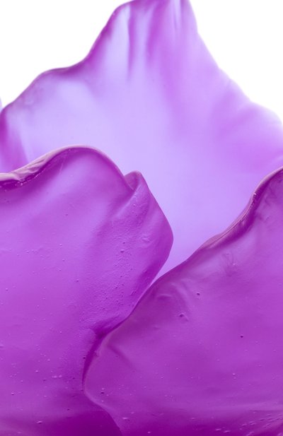 Ваза для фруктов средняя DAUM фиолетового цвета по цене 348500 руб., арт. 03579-2, фото 3 Ваза для фруктов средняя DAUM, арт. 03579-2, фото 3