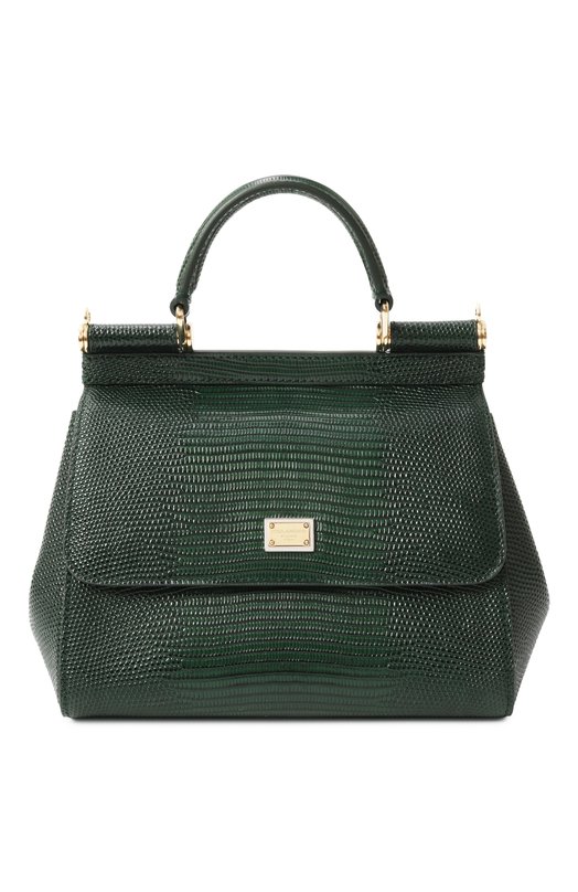 Сумка Sicily small Dolce & Gabbana BB9003_BE9003_BI9003/A1095_1 Зелёный BB9003_BE9003_BI9003/A1095_1