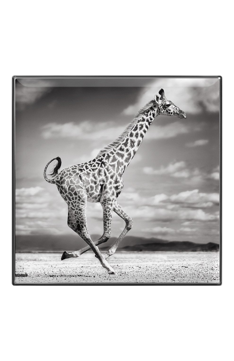 Тени для век luminescent eye shade, оттенок giraffe CHANTECAILLE, арт. 656509172061, фото 2