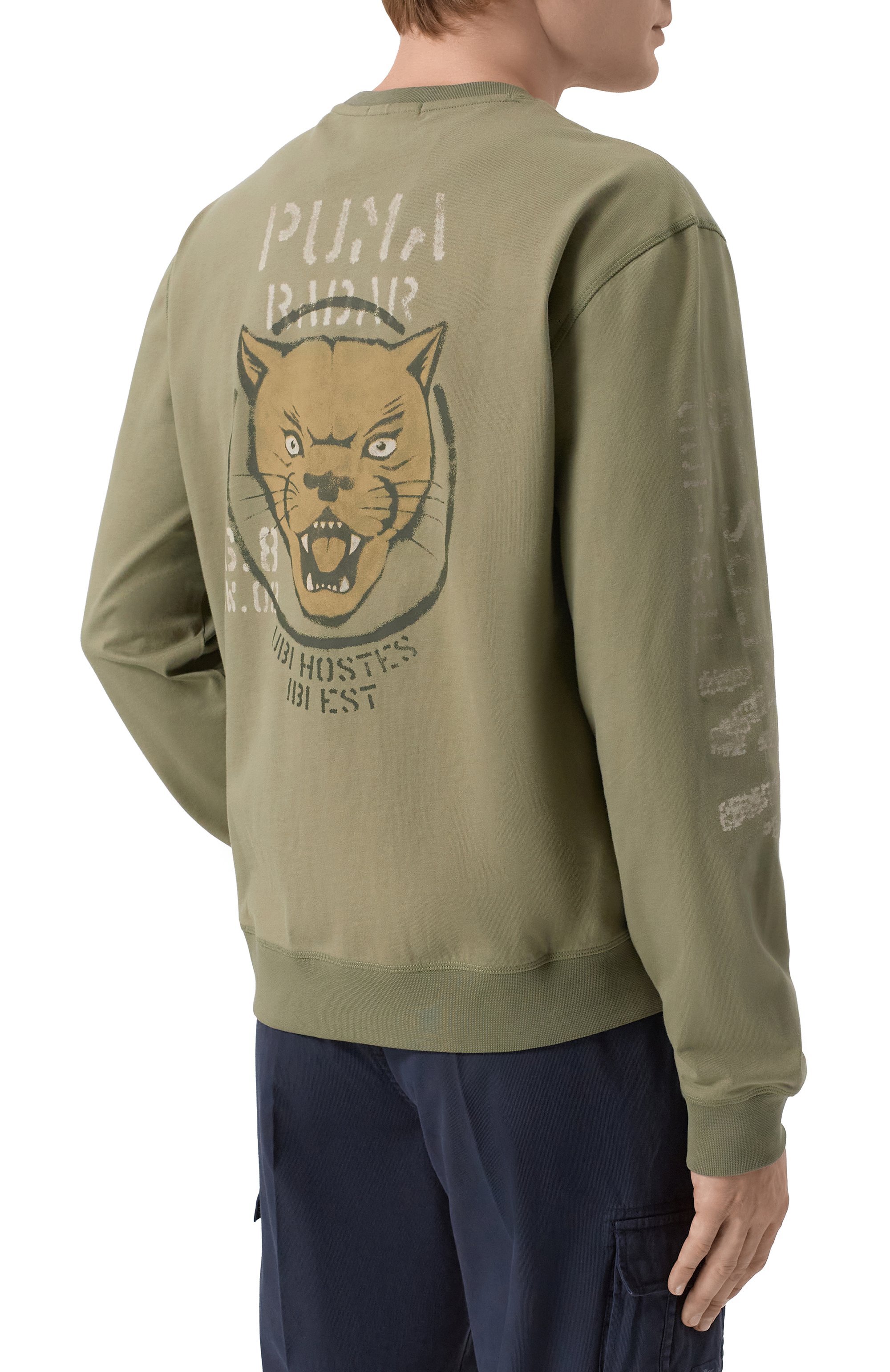 Хлопковый свитшот AERONAUTICA MILITARE, арт. FE2099UJ00725, фото 4