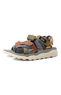 Разноцветный