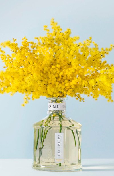 Диффузор fiori di mimosa (250ml) ERBARIO TOSCANO бесцветного цвета по цене 10400 руб., арт. DA25FM, фото 4 Диффузор fiori di mimosa (250ml) ERBARIO TOSCANO, арт. DA25FM, фото 4