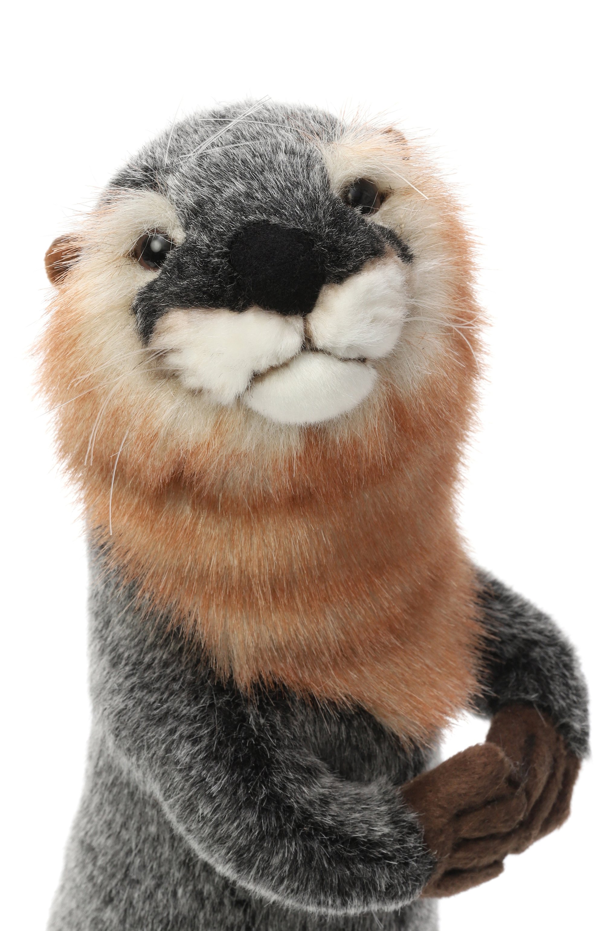 Мягкая игрушка выдра речная HANSA, арт. 3814, фото 4