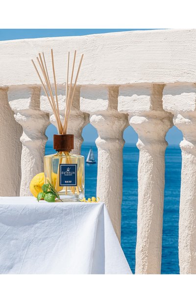 Диффузор blue zest (500ml) EUTHALIA FRAGRANCES, арт. 4603336950870, фото 3