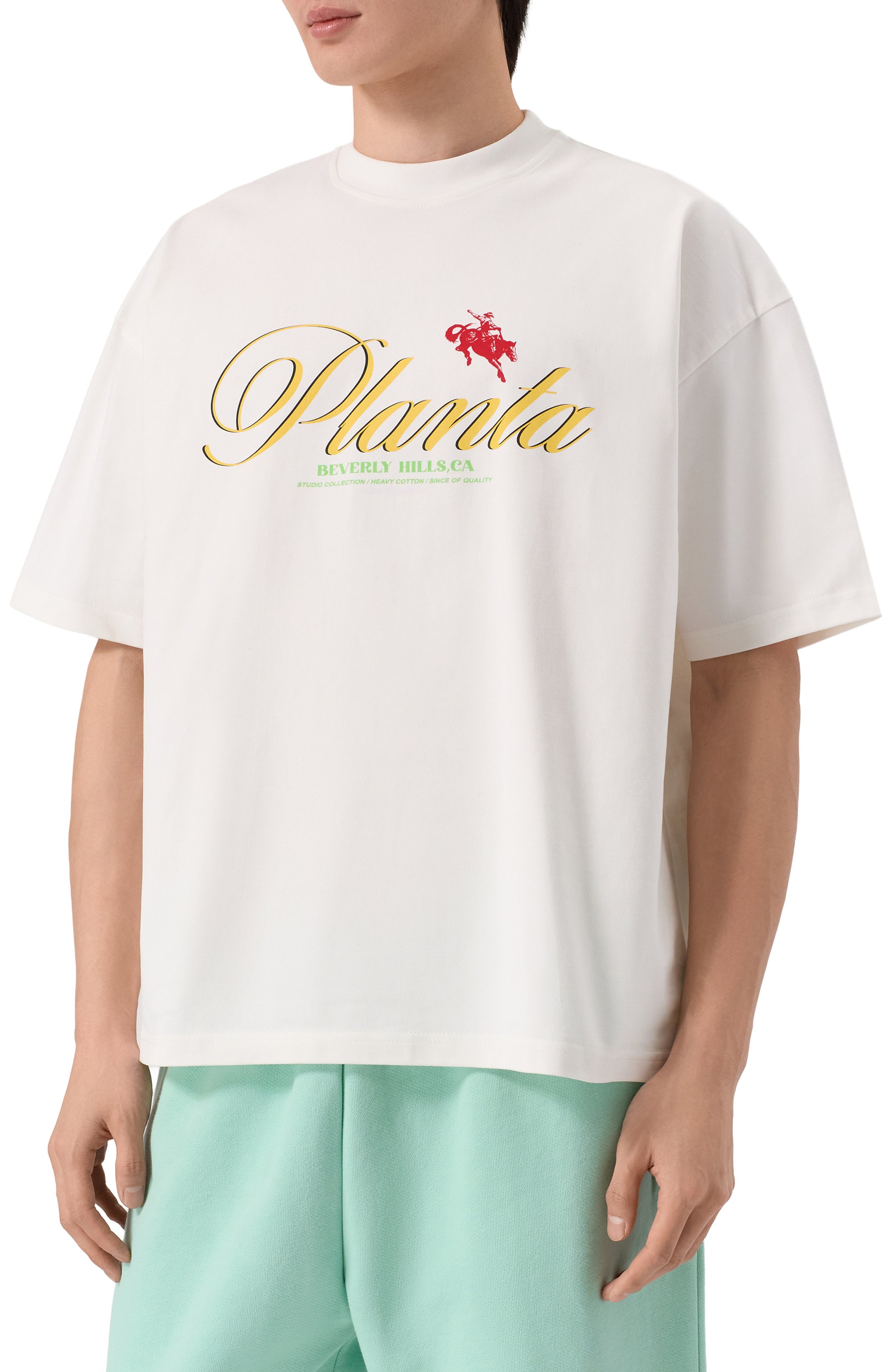 Хлопкова я футболка PLANTA ROSA, арт. PR/T02/ASCEND-GLOW/300VELVET, фото 3