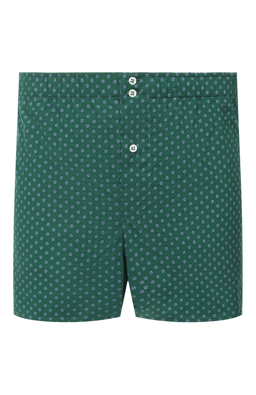 Хлопковые боксеры Roberto Ricetti B0XER DB1/B35203 Зелёный B0XER DB1/B35203