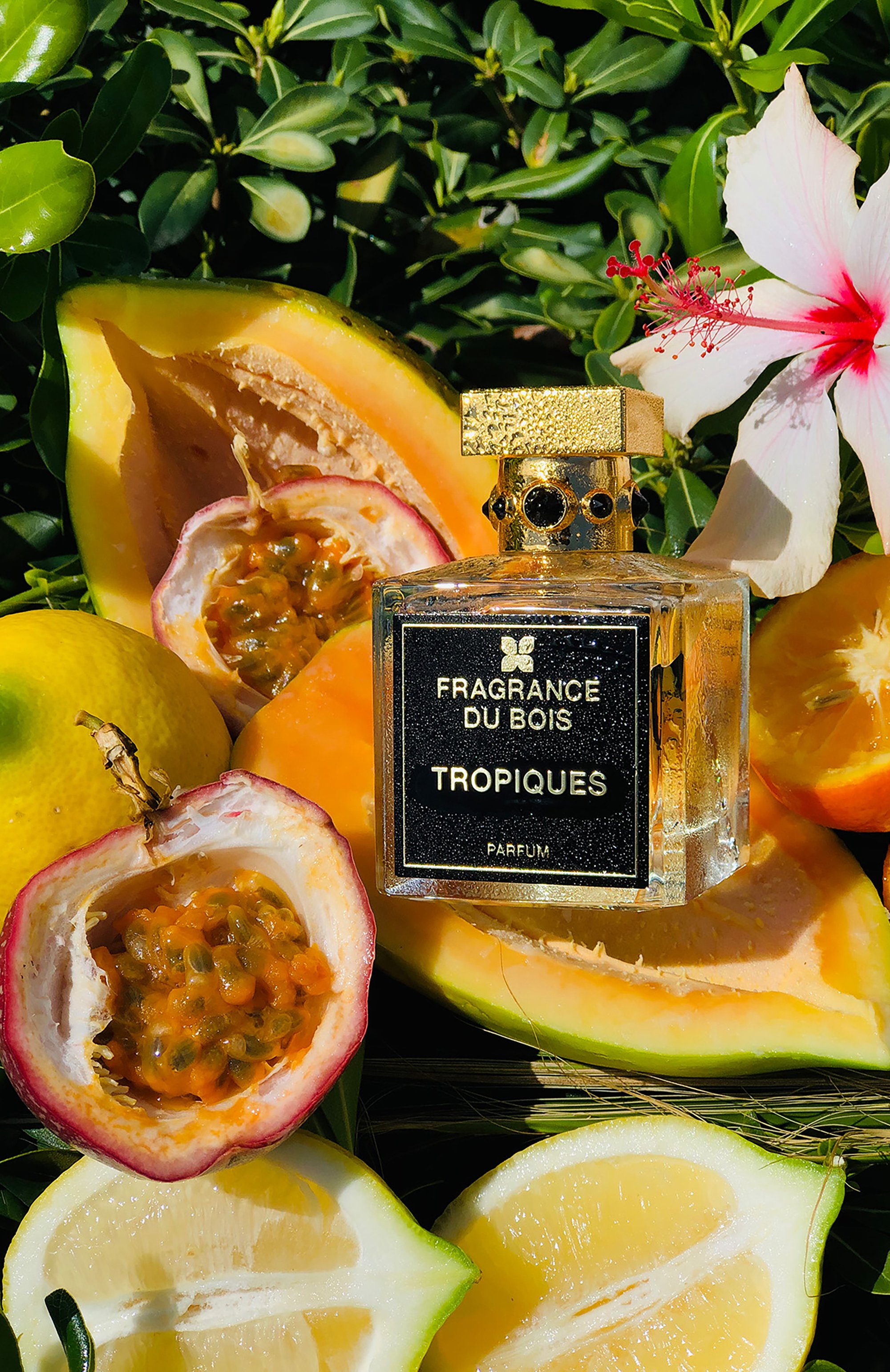 Духи tropiques (100ml) FRAGRANCE DU BOIS, арт. 5065009151264, фото 2