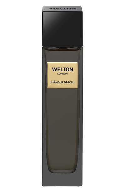 Мужской духи l`amour absolu (100ml) WELTON LONDON, арт. 5055404702581