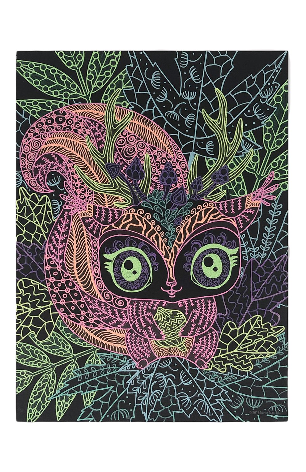 Раскраска coralia PAREMO, арт. 11111_NSDA, фото 5