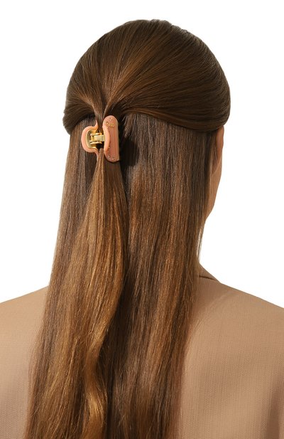 Заколка для волос ALEXANDRE DE PARIS, арт. ICC45-14339-03P23 OS, фото 2