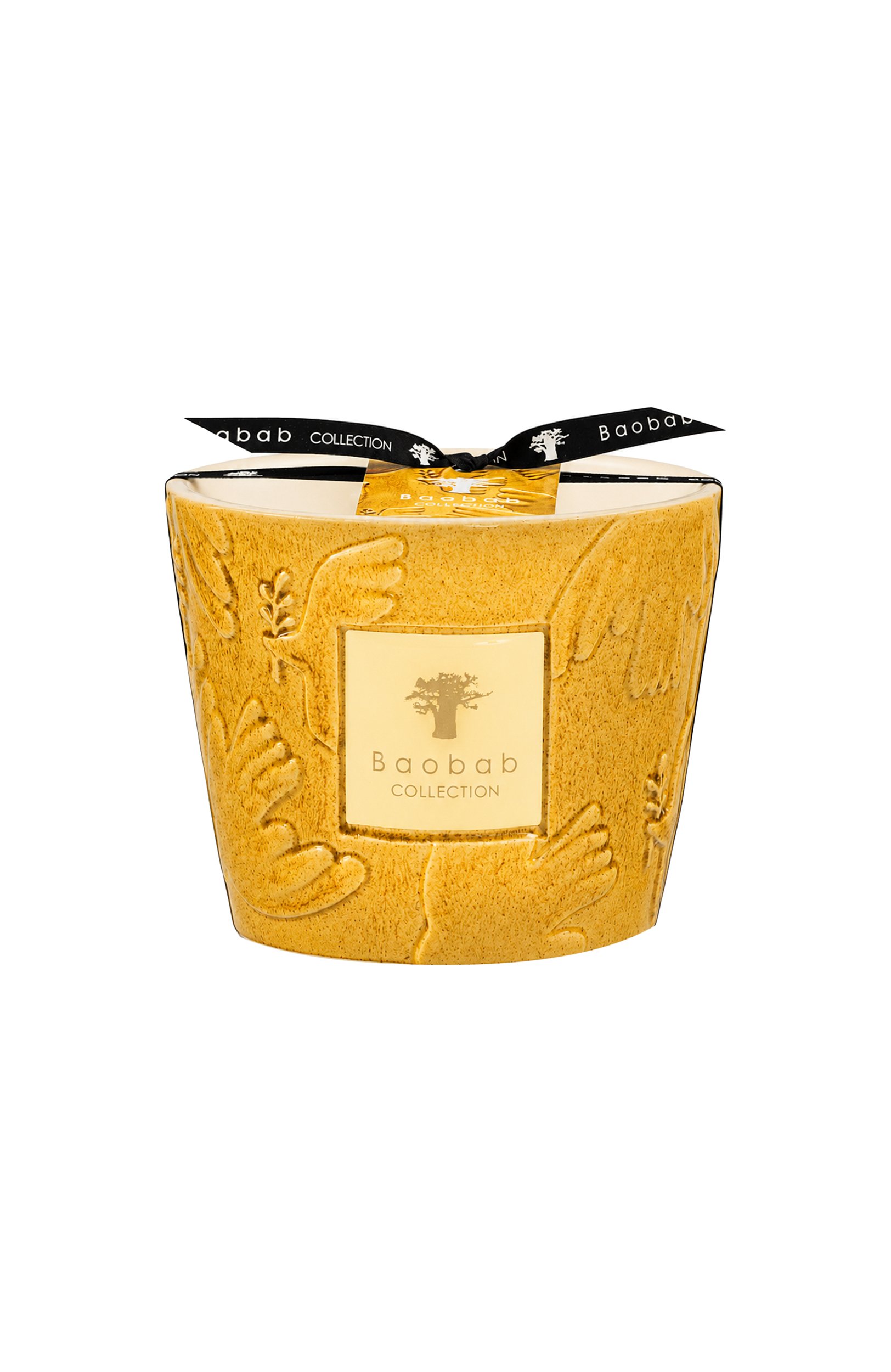 Свеча paz dove max 10 (500g) BAOBAB бесцветного цвета по цене 17610 руб., арт. 5415198528154, фото 1 Свеча paz dove max 10 (500g) BAOBAB, арт. 5415198528154, фото 1