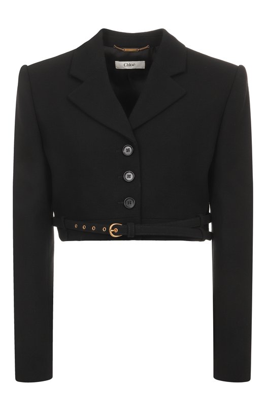 Шерстяной жакет Chloé CH25WVE58066 Чёрный CH25WVE58066