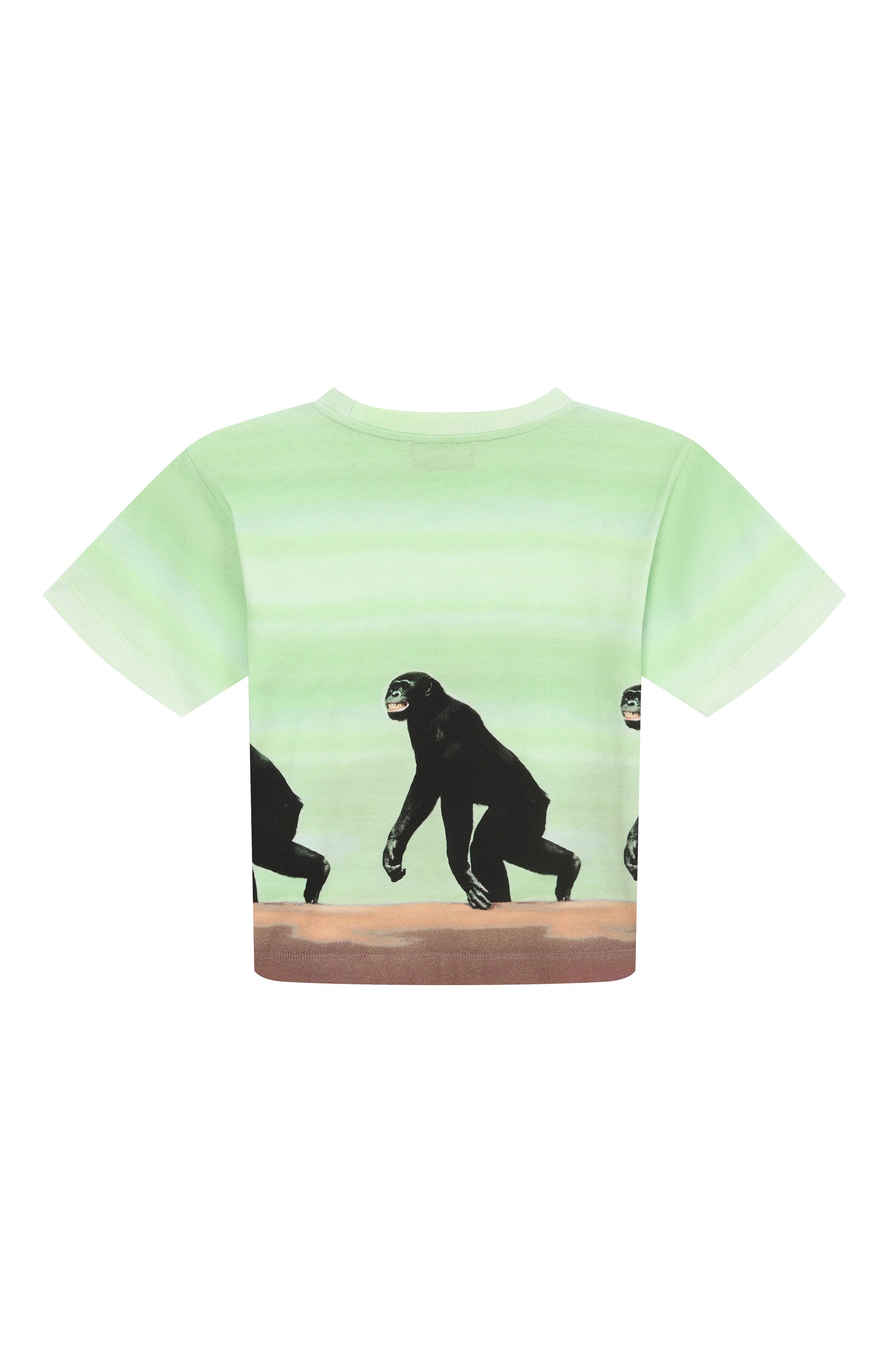 Хлопковая футболка MOSCHINO салатового цвета по цене 17150 руб., арт. HUM057/LAA02/4-8, фото 2 Хлопковая футболка MOSCHINO, арт. HUM057/LAA02/4-8, фото 2