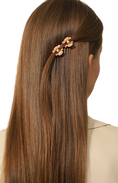 Комплект из двух заколок для волос ALEXANDRE DE PARIS, арт. ICCXS-14338-02P23 OS, фото 2