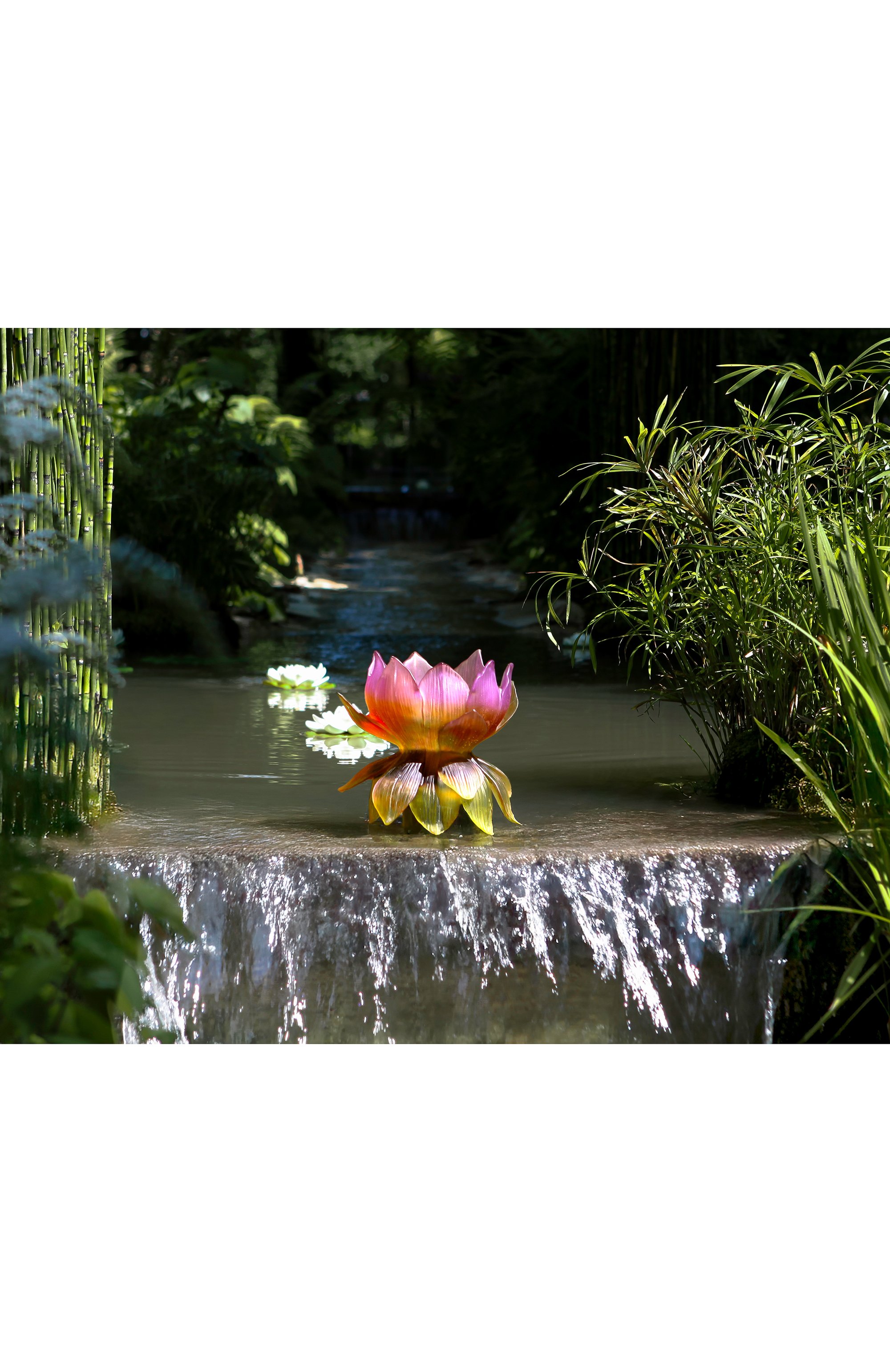 Ваза medium jardin de lotus DAUM, арт. 05866, фото 2