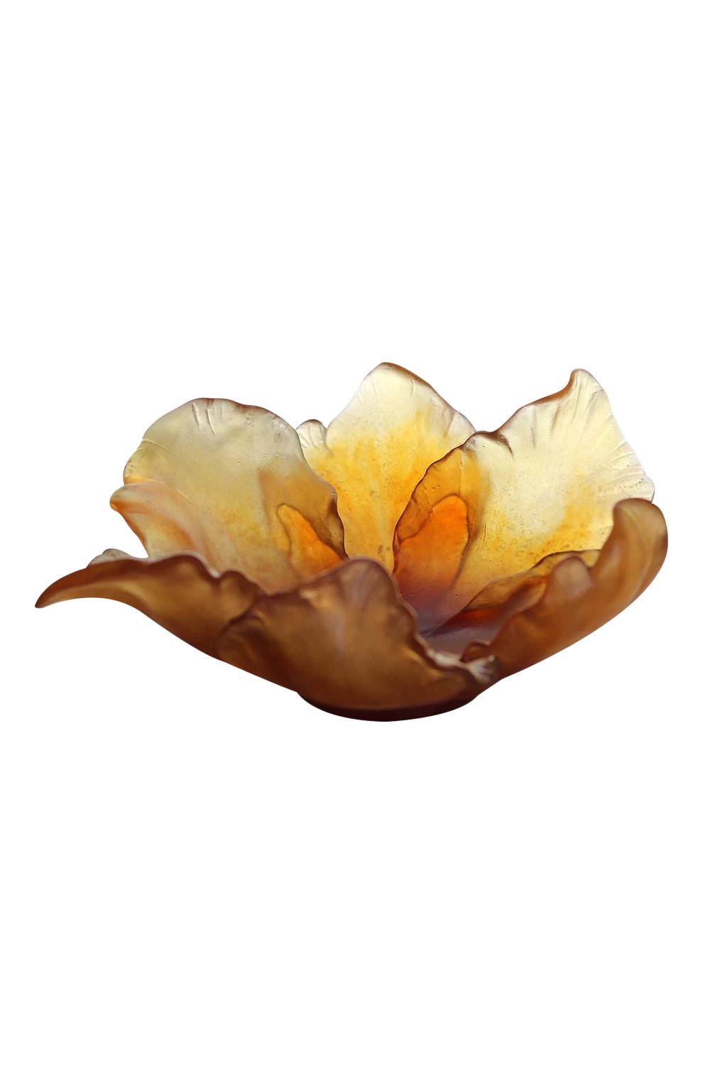 Мелочница tulip DAUM коричневого цвета по цене 123500 руб., арт. 03228, фото 1 Мелочница tulip DAUM, арт. 03228, фото 1