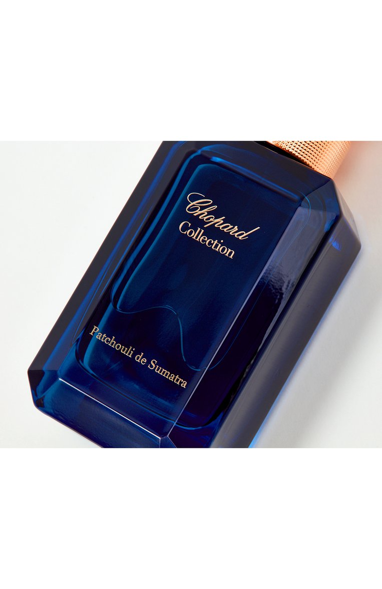 Парфюмерная вода patchouli de sumatra (100ml) CHOPARD бесцветного цвета, арт. 7640177363299 | Фото 3 (Региональные ограничения белый список (Axapta Mercury): Не проставлено; Нос: Не проставлено; Тип продукта - парфюмерия: Парфюмерная вода; Ограничения доставки: flammable)