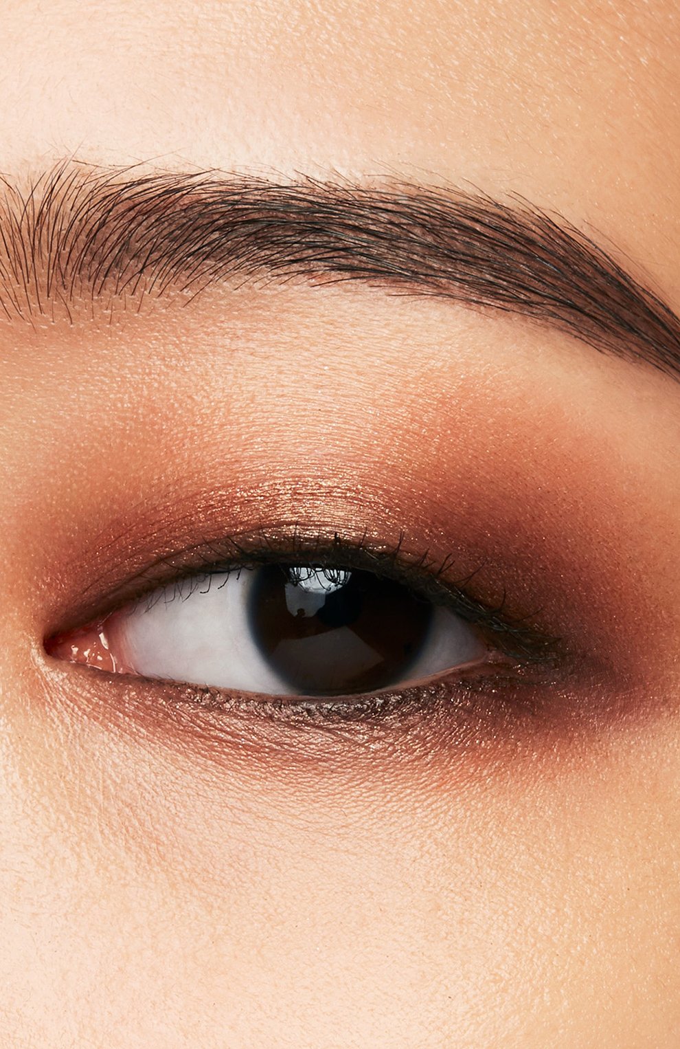 Моно-тени для век powder gel, 5 zoku-zoku brown SHISEIDO, арт. 17709SH, фото 3