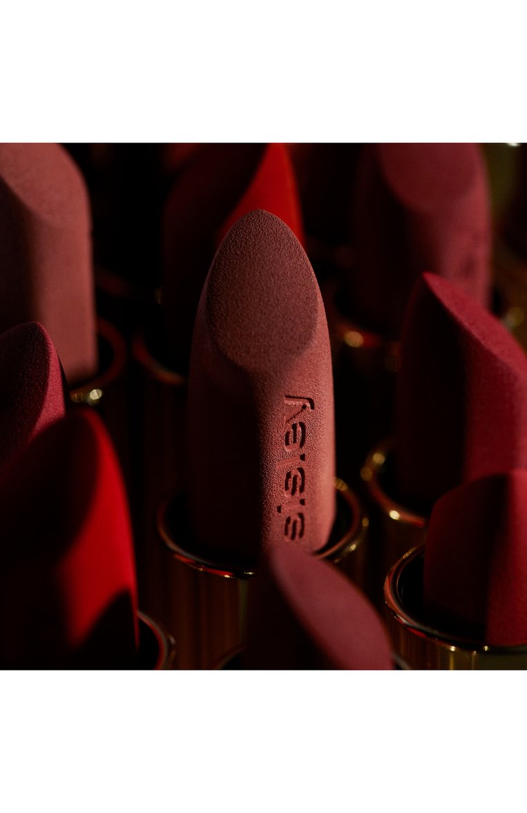 Увлажняющая матовая помада phyto-rouge velvet, оттенок 10 натуральный бежевый (3g) SISLEY  цвета, арт. 170700 | Фото 7 (Финишное покрытие: Матовый; Нос: Не проставлено; Региональные ограничения белый список (Axapta Mercury): Не проставлено)