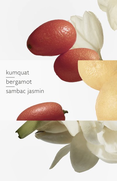 Туалетная вода спрей le jardin de monsieur li (100ml) HERMÈS, арт. 32118H, фот о 5