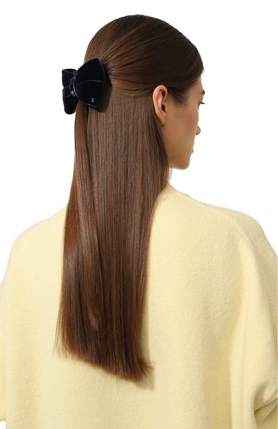 Заколка для волос ALEXANDRE DE PARIS, арт. TA8-17497 M, фото 2