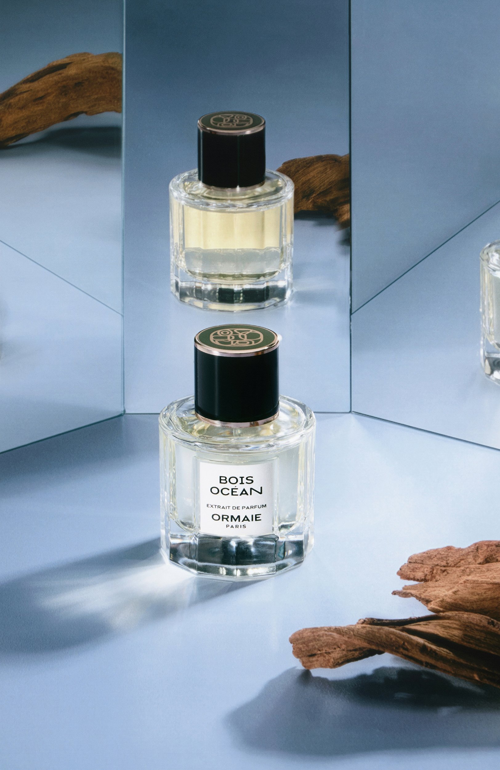 Парфюмерный экстракт bois océan (50ml) ORMAIE, арт. 3770031598278, фото 2