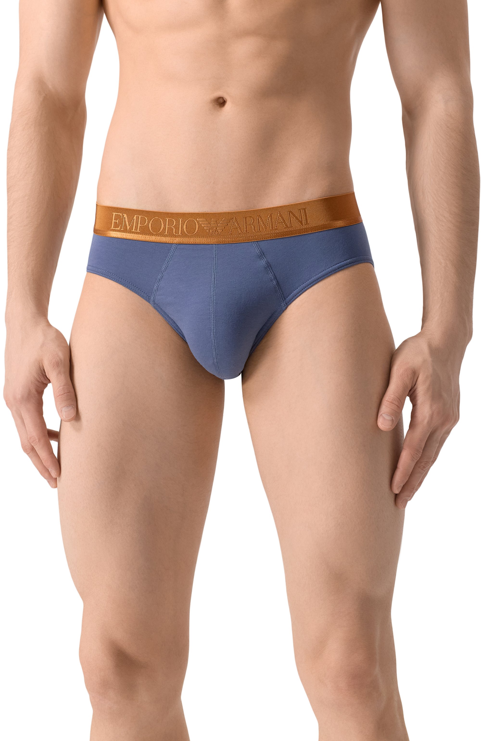 Комплект из трех брифов EMPORIO ARMANI разноцветного цвета по цене 6895 руб., арт. EM000258/AF10780, фото 2 Комплект из трех брифов EMPORIO ARMANI, арт. EM000258/AF10780, фото 2