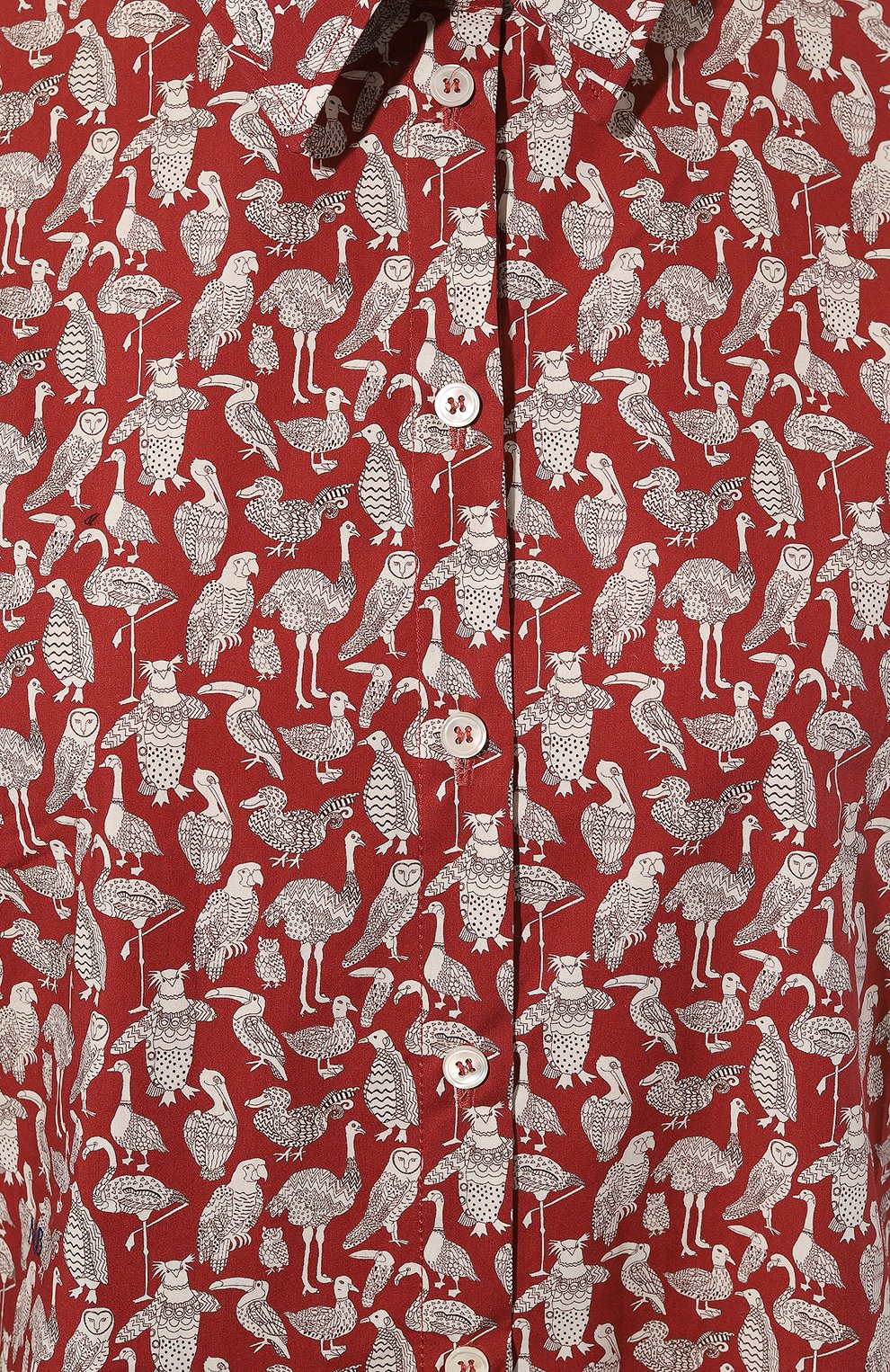 Хлопковая рубашка NOBLE&BRULEE, арт. NB001/250523/3746, фото 5