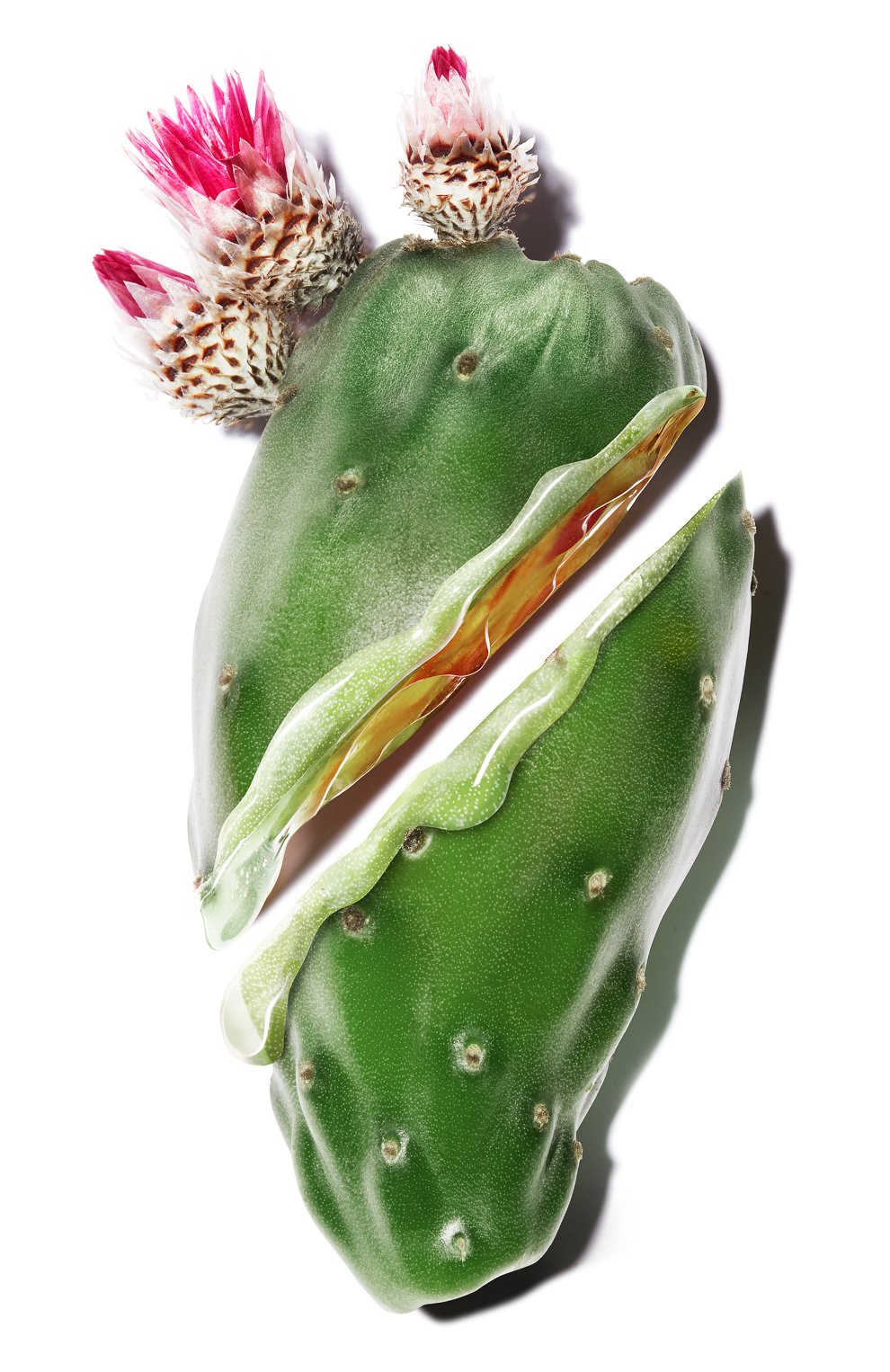 Сыворотка pure shots y-shape (30ml) YSL бесцветного цвета по цене 10050 руб., арт. 3614272353558, фото 3 Сыворотка pure shots y-shape (30ml) YSL, арт. 3614272353558, фото 3