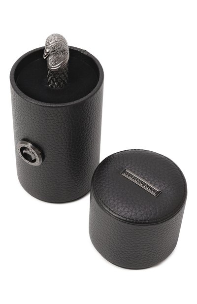 Шариковая ручка с футляром STEFANO RICCI, арт. PYRA003/BRS001_SET, фото 4