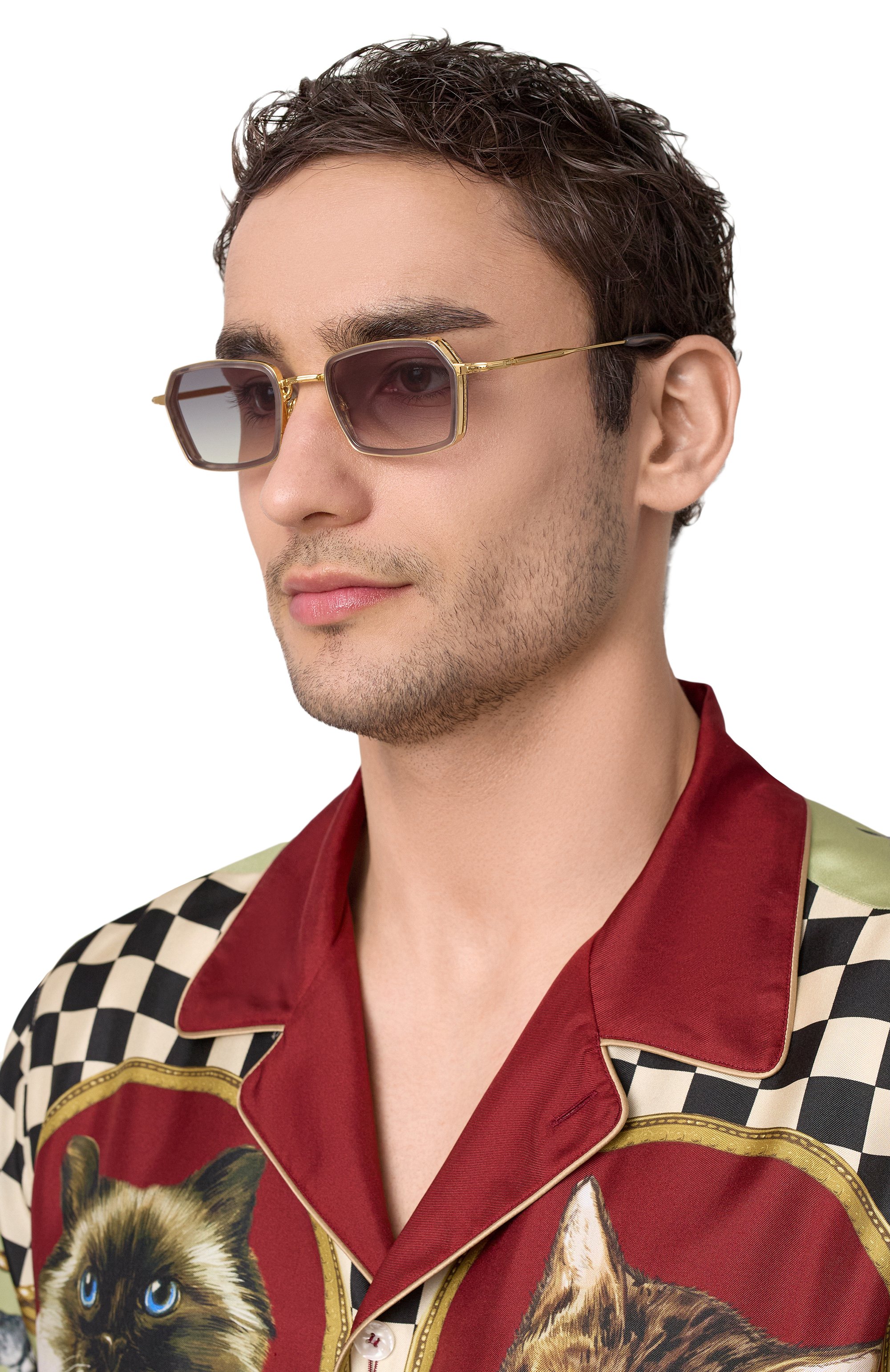 Солнцезащитные очки JOHN DALIA, арт. PAUL C153, фото 2