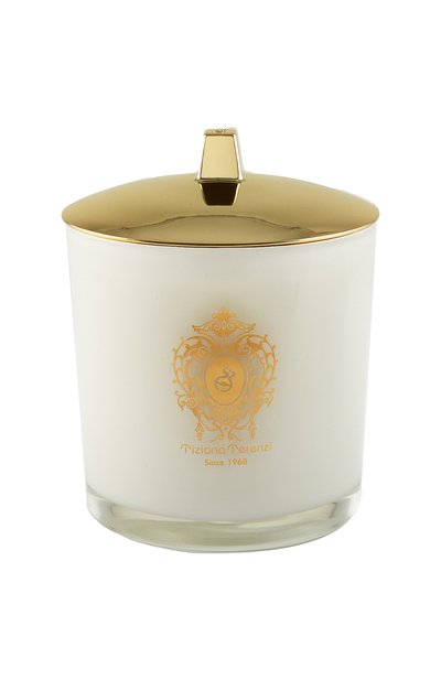 Свеча camino с ароматом духов kirke' (1000g) TIZIANA TERENZI, арт. 8016741422492, фото 1