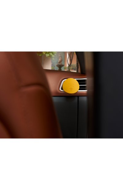 Кожаный чехол для аромадиффузора, желтый ACQUA DI PARMA, арт. ADP081526, фото 5