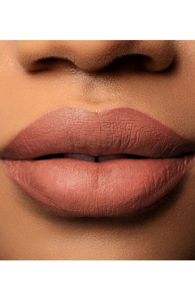 Рефил матовой губной помады matte velvet lipstick silver, оттенок alpha female (3g) HOUSE OF SILLAGE, арт. 810466025185, фото 3