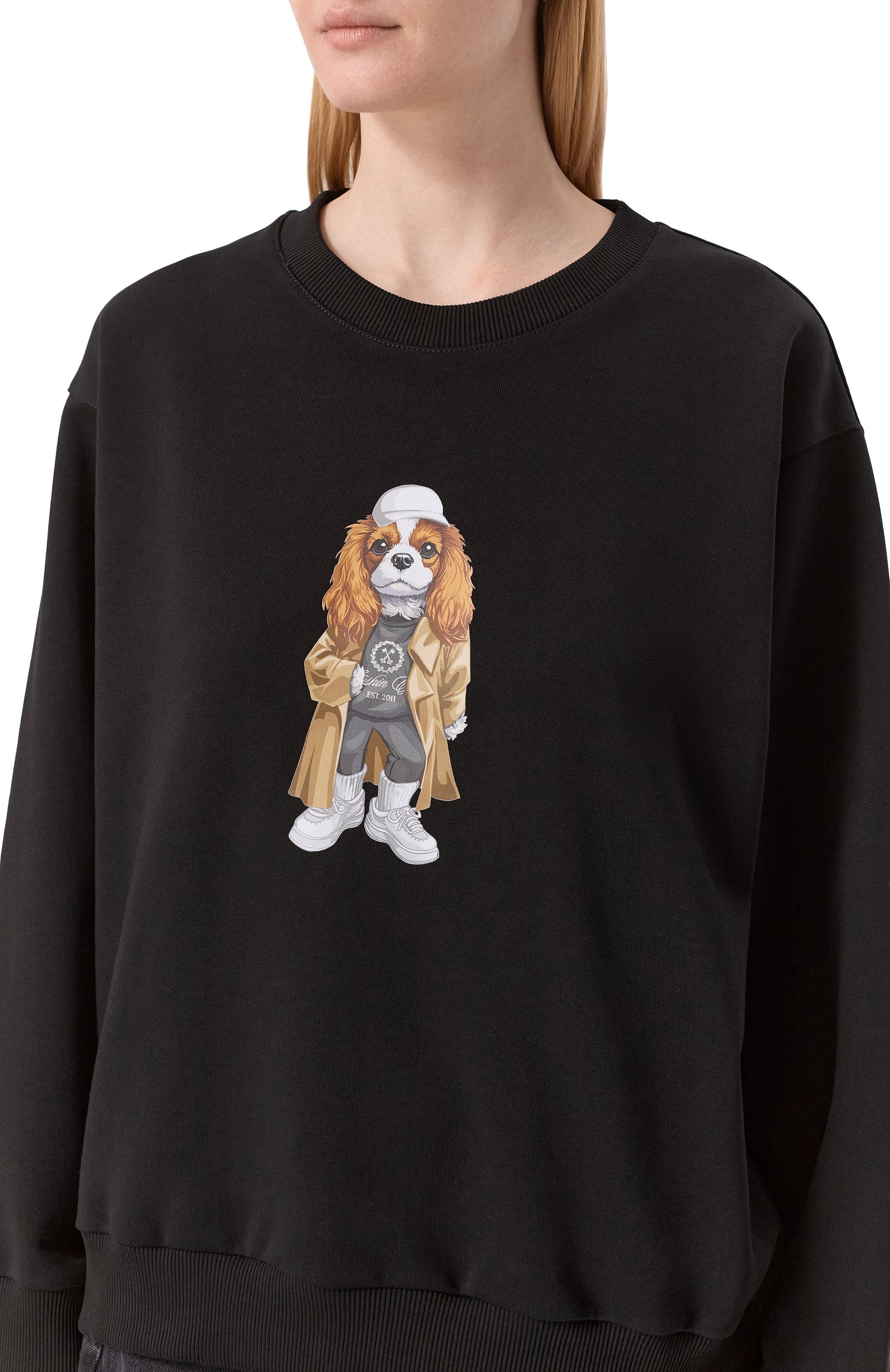 Хлопковый свитшот FLASHIN, арт. FS25SDOS, фото 5