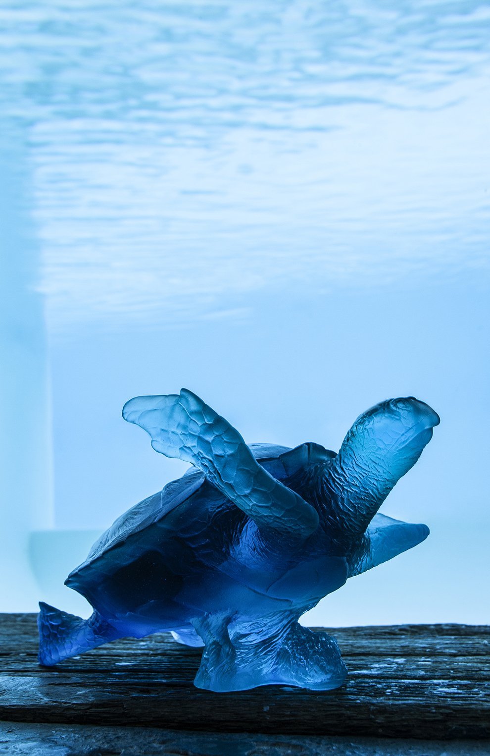 Скульптура морская черепаха coral sea DAUM, арт. 05699-1, фото 3