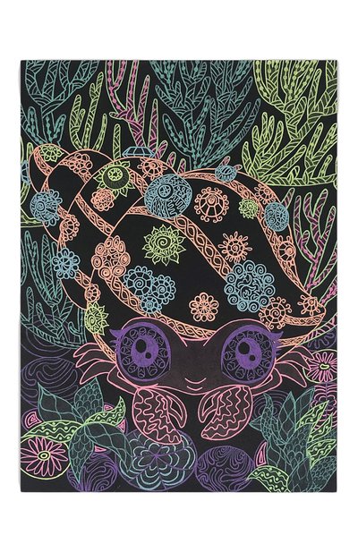 Раскраска coralia PAREMO, арт. 11111_NSDA, фото 3