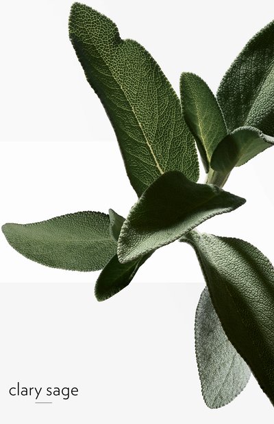 Туалетная вода h24 (50ml) HERMÈS, арт. 101563V0H, фото 5