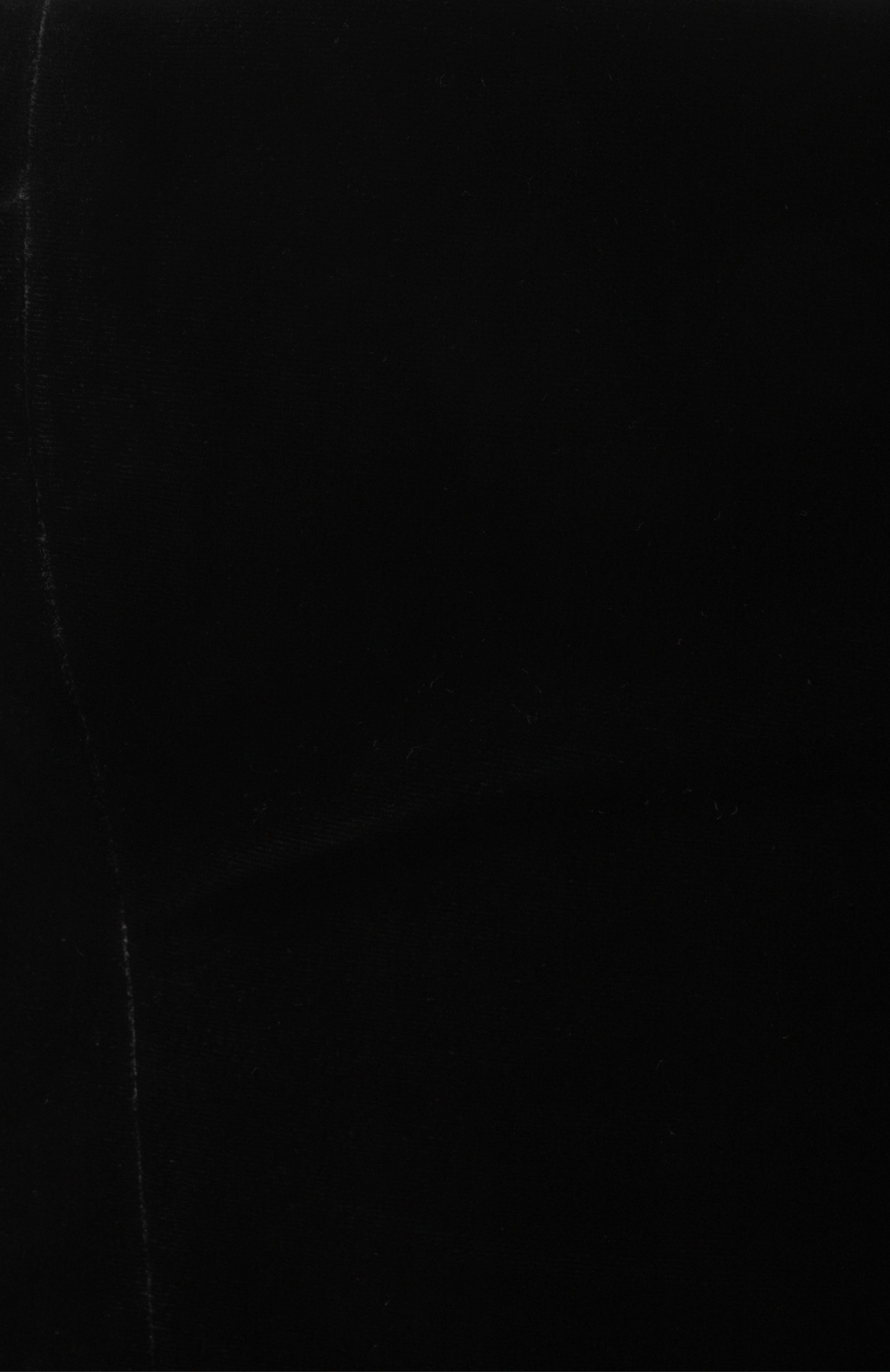 Бархатное платье RASARIO, арт. RS24F038DN001, фото 6