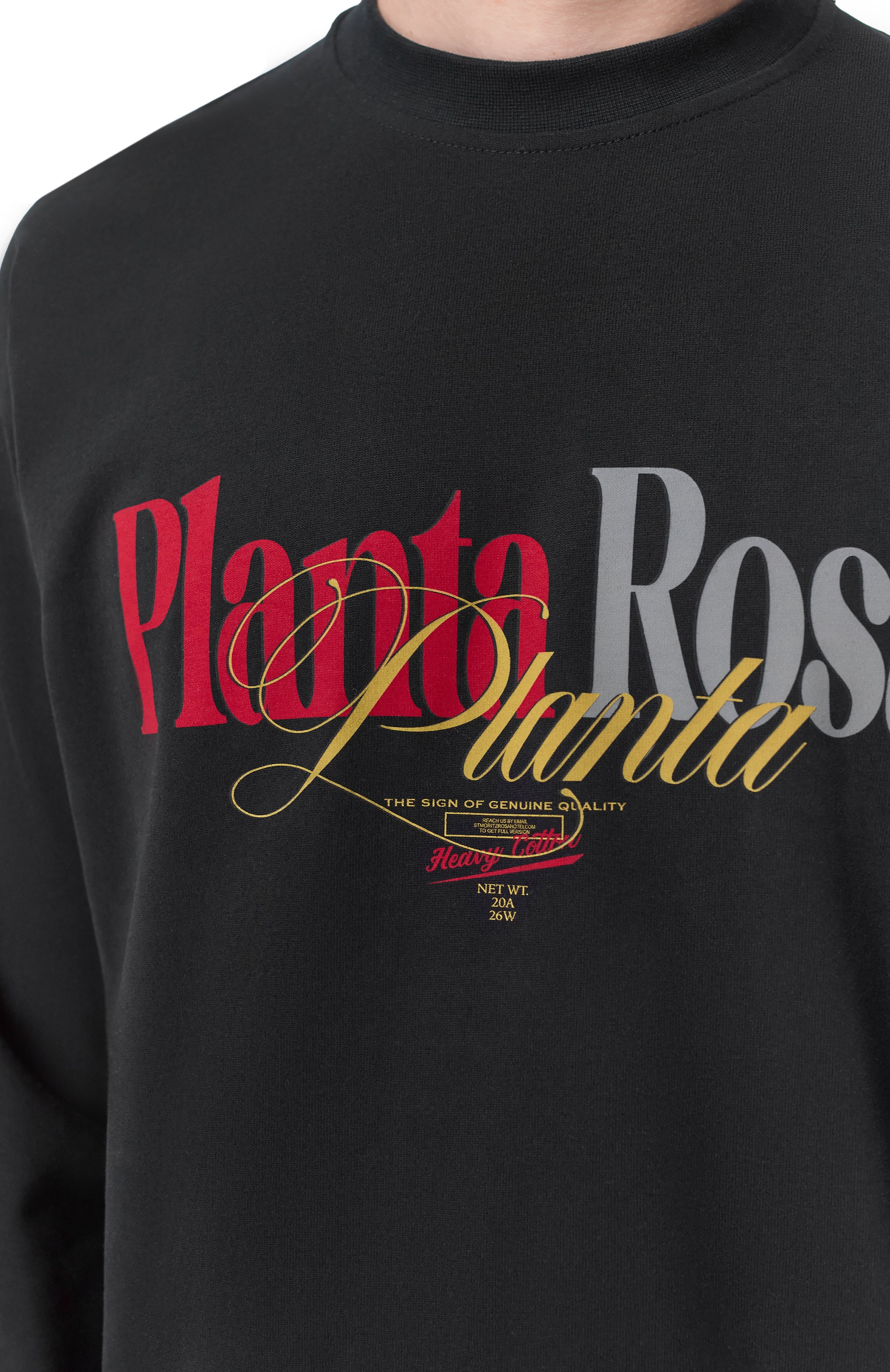 Хлопковый лонгслив PLANTA ROSA, арт. PR/L01.1/CLASSIC-RENAISSANCE/250VELVET, фото 6