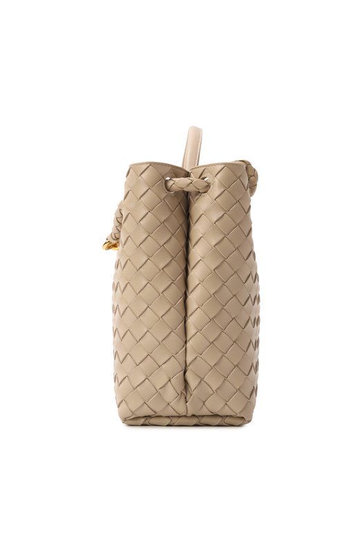 Сумка Andiamo medium Bottega Veneta 766016/VCPP1 Бежевый  766016/VCPP1 Фото 4