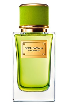 Парфюмерная вода velvet collection mughetto (100ml) DOLCE & GABBANA бесцветного цвета, арт. 8054754400076 | Фото 1 (Тип аромата: Цветочный; Региональные ограничения белый список (Axapta Mercury): Не проставлено; Нос: Не проставлено; Тип продукта - парфюмерия: Парфюмерная вода; Ограничения доставки: flammable)