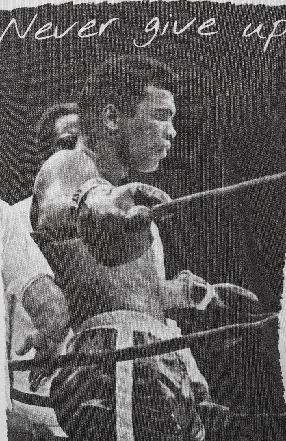 Хлопковая футболка BISIBIGLIO, арт. ALI NEVER RING, фото 5