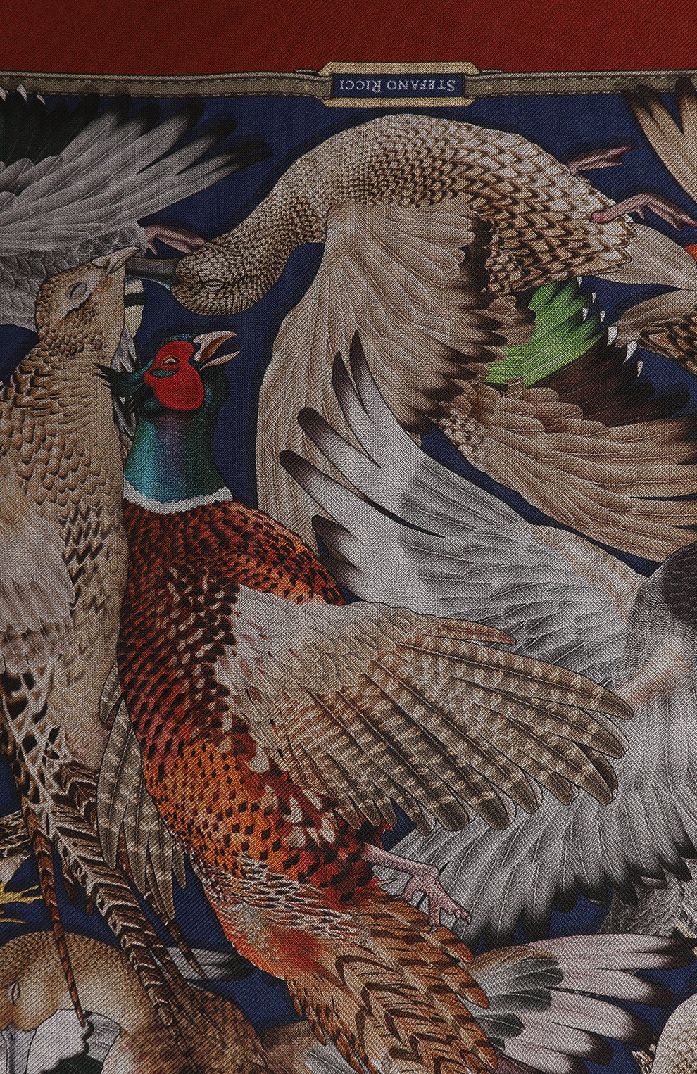 Шелковый платок STEFANO RICCI, арт. FZSR14/13709, фото 2