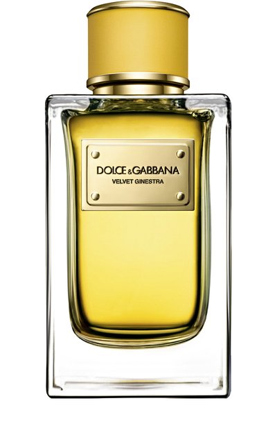Женский парфюмерная вода velvet collection ginestra (50ml) DOLCE & GABBANA, арт. 730870159798