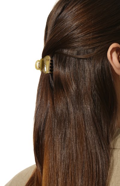 Заколка для волос ALEXANDRE DE PARIS, арт. ICCB-12831-03P22 K, фото 2