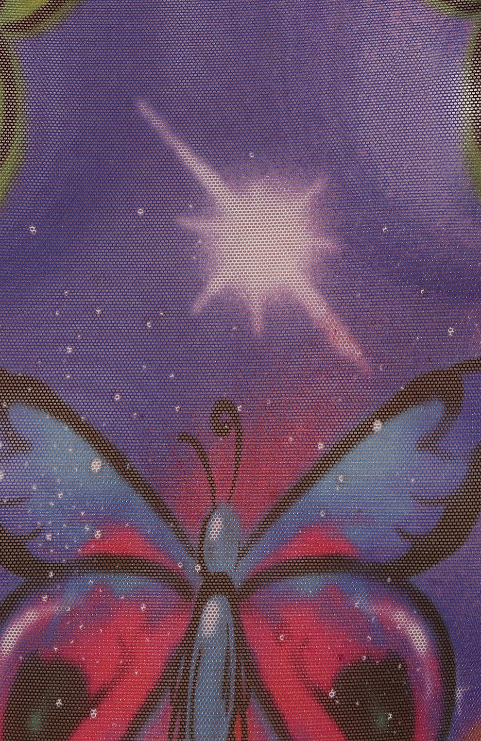 Боди DSQUARED2, арт. D8F015610, фото 5