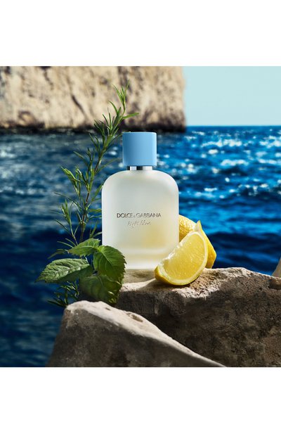 Туалетная вода light blue pour homme (100ml) DOLCE & GABBANA, арт. 8057971188116, фото 3