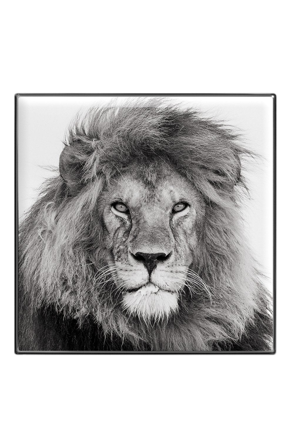 Тени для век luminescent eye shade, оттенок lion CHANTECAILLE, арт. 656509172030, фото 2