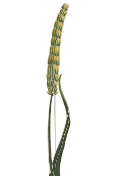 Брошь тимофеевка луговая РУССКИЕ САМОЦВЕТЫ, арт. 41474, фото 4